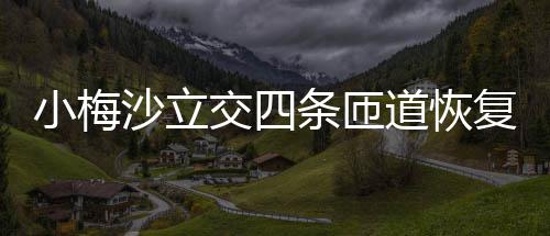道恢车条匝复通小梅交四沙立